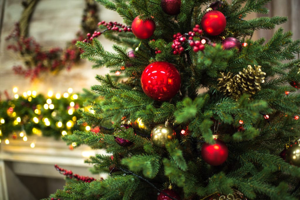 Simply Plants can help you find the perfect office Christmas tree