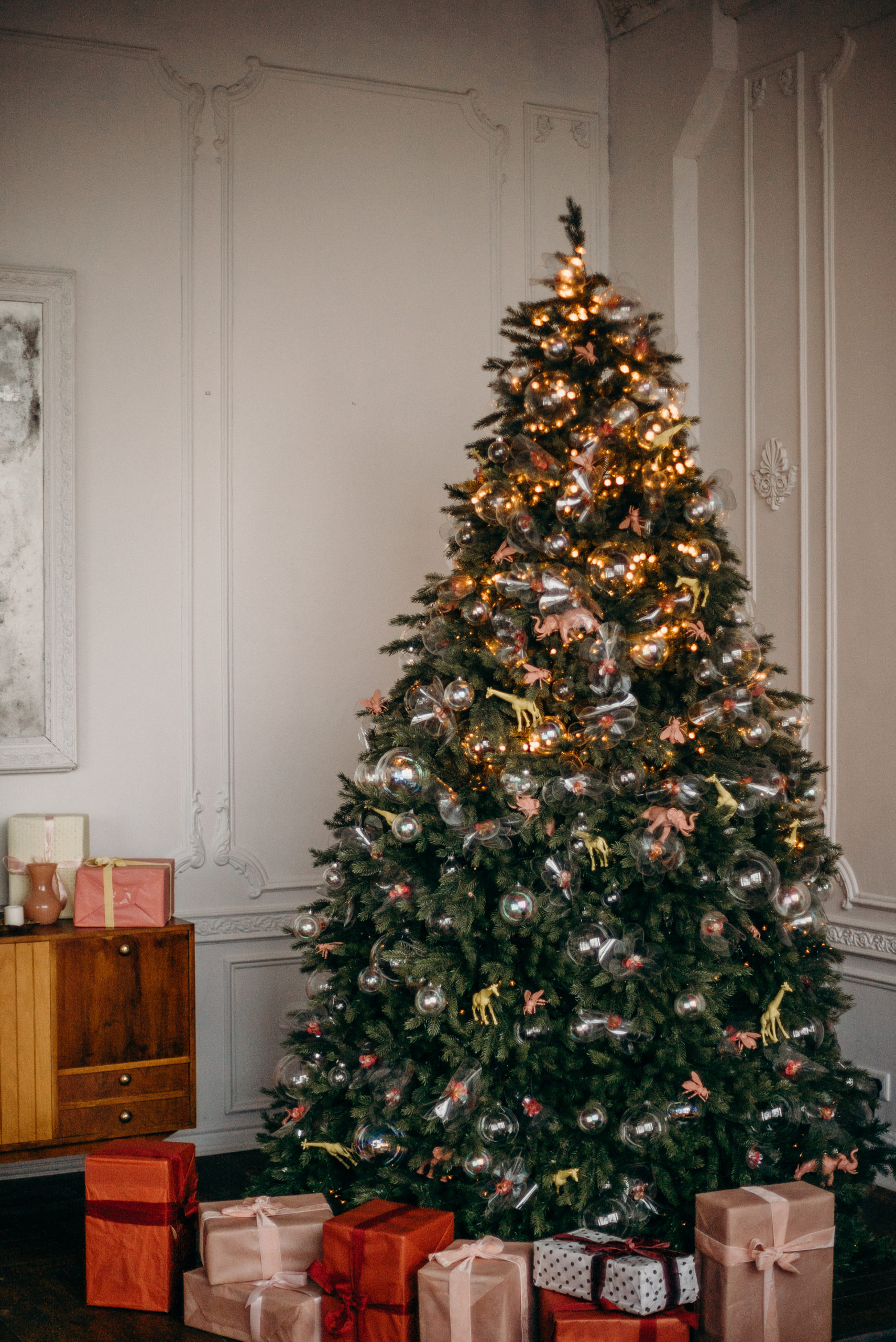 Hire A Real Christmas Tree From Simply Plants In Time For The Festive 